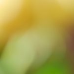 最新免费观看的电影 27iju