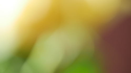 最新免费观看的电影