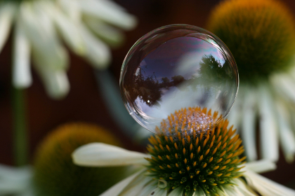 夜色快憣免费观看全部