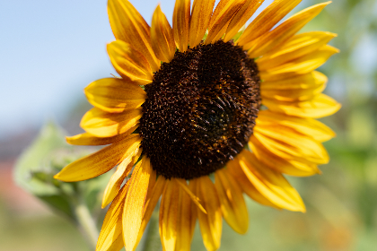 苹果 完整版在线观看