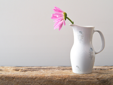 香港三级a∨在线观看