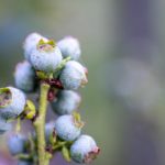 非会员试看10分钟做受不用下 42qkki6cdu