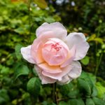 八百电影在线高清免费观看完整版 59erkdy9il