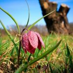 黑料社区us,hacknet 6k4zbk