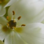 八哥电影 7zqwjz59s