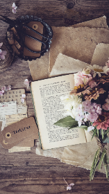 苦瓜1313电影在线