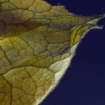 黑料吃瓜大事件,黑料设社 9yxuwrz