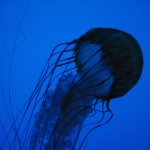 黑料今日不打烊,黑料正能量地址发布页 a8927uh3n1