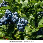 顾景庭林亦可免费阅读小说 awdpjk1d7