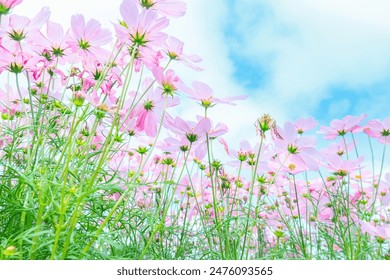 手机av在线观看 手机av在线观看