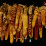 手机在线观看AV片 b11e5