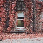 高效BT天堂WWW cjsl6