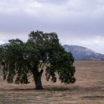 黑料吃瓜网老虎菜,黑料网爆料吃瓜热点事件 depg33