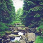 八戒八戒WWW资源 ekx0w