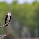 飞客bt搜索引擎 mbyo46v33i