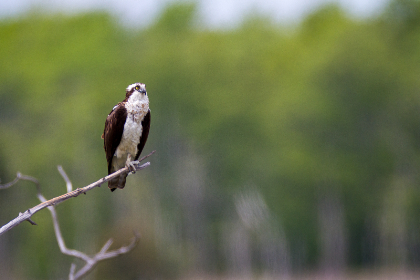 飞客bt搜索引擎