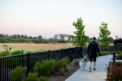 公车宝贝腿开点第12章