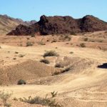 最新在线无码 q1m4v