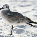 黑料今日看料,黑料正能量入口永不迷路 qf6a6dt91t