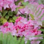 边做边对白在线播放边做 rj7vfdr598