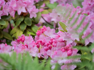 边做边对白在线播放边做