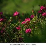 六六六女人裸体艺术 s7nl5oshp