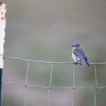 电影 在线 亚洲 美 偷 sefxt29g5