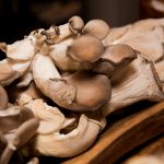 青柠在线观看视频在线高清 tikc721m7