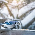 大叔你这太大了 w0b6g5gh