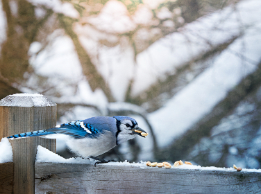 大叔你这太大了