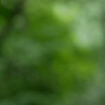 男主从小用玉器滋养女主走路 ygr9u4fni