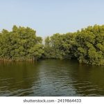 吃瓜天堂:最快最全最轻松的吃瓜网,让你随时掌握热点 016yq5