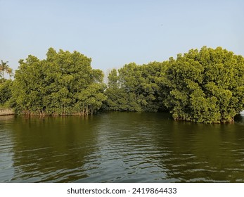 吃瓜天堂：最快最全最轻松的吃瓜网，让你随时掌握热点