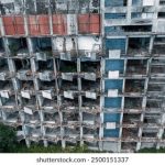 全面解析bt精灵:下载与管理的最佳助手 1tzhv