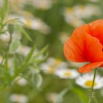 tv listings zap2it local listings:获取最新本地电视节目表,轻松安排观影时间 20u9x299i