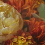 如何在51吃瓜网上查看咨询记录的详细步骤 2gb86mv