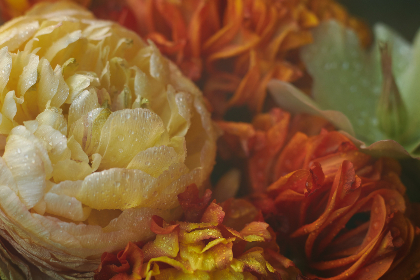 如何在51吃瓜网上查看咨询记录的详细步骤