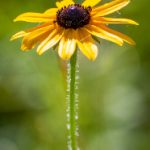 吃瓜网 不打烊:全天候为你提供最新娱乐八卦资讯! 2op1wf