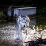 初恋时间雷火剑:重温青春岁月的奇幻之旅 3ef5z3srn