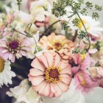 七七影视大全在线观看视频:畅享海量高清影视资源,尽在指尖轻松观看 3s2ib3x