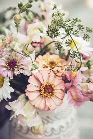 七七影视大全在线观看视频：畅享海量高清影视资源，尽在指尖轻松观看