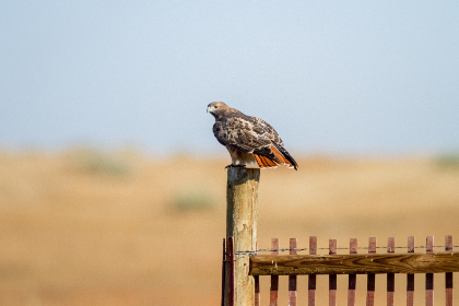奇妙动漫：探索奇幻世界中的无尽创意与感动