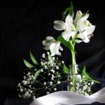 如何顺利完成中国大学MOOC的网页登录步骤 7cpts3pv