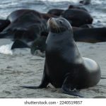 哪里可以量三围:寻找专业测量服务的最佳地点与建议 7o8cut