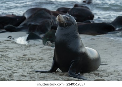 哪里可以量三围：寻找专业测量服务的最佳地点与建议