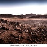 少先队的意义和作用:培养青少年责任感与集体意识的重要平台 ax0mkh0lsm