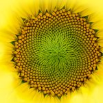 吃瓜天堂911:揭秘网络热议事件背后的真相与趣闻 be8hp