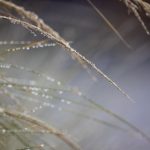 奇异果TV:探索全球精彩影视内容的最佳平台 etbodc77