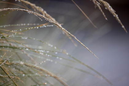 奇异果TV：探索全球精彩影视内容的最佳平台