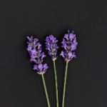 夸克网盘在哪:详细指南教你快速找到下载链接 f7ux5b